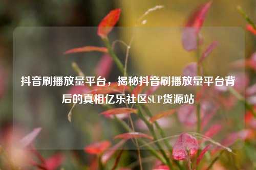抖音刷播放量平台，揭秘抖音刷播放量平台背后的真相亿乐社区SUP货源站  第1张