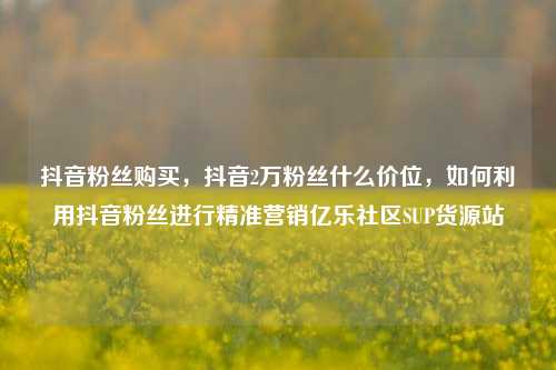 抖音粉丝购买，抖音2万粉丝什么价位	，如何利用抖音粉丝进行精准营销亿乐社区SUP货源站  第1张