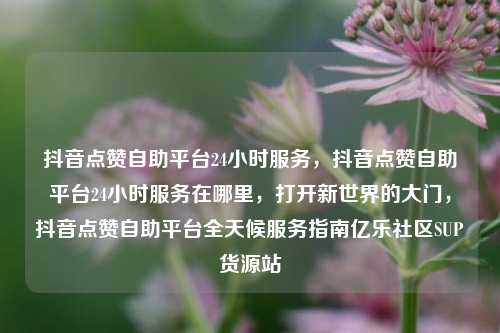 抖音点赞自助平台24小时服务，抖音点赞自助平台24小时服务在哪里	，打开新世界的大门，抖音点赞自助平台全天候服务指南亿乐社区SUP货源站  第1张
