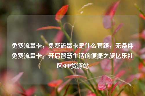 免费流量卡，免费流量卡是什么套路	，无条件免费流量卡，开启智慧生活的便捷之旅亿乐社区SUP货源站  第1张