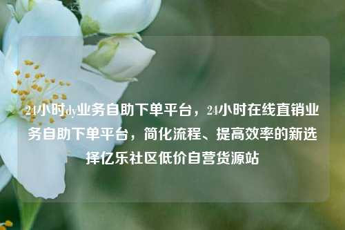 24小时dy业务自助下单平台	，24小时在线直销业务自助下单平台，简化流程、提高效率的新选择亿乐社区低价自营货源站  第1张