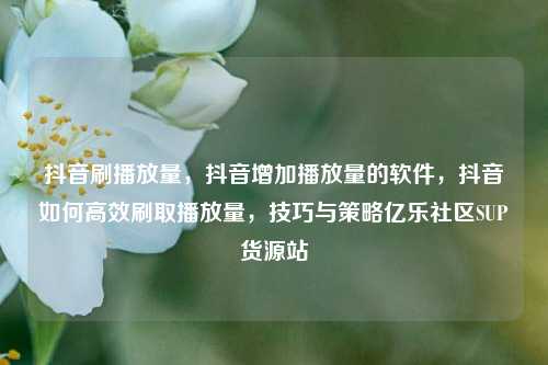 抖音刷播放量	，抖音增加播放量的软件，抖音如何高效刷取播放量，技巧与策略亿乐社区SUP货源站  第1张