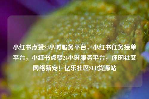 小红书点赞24小时服务平台，小红书任务接单平台，小红书点赞24小时服务平台	，你的社交网络新宠！亿乐社区SUP货源站  第1张