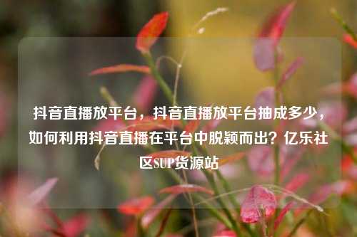 抖音直播放平台	，抖音直播放平台抽成多少，如何利用抖音直播在平台中脱颖而出？亿乐社区SUP货源站  第1张