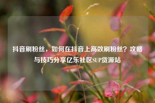 抖音刷粉丝，如何在抖音上高效刷粉丝？攻略与技巧分享亿乐社区SUP货源站  第1张