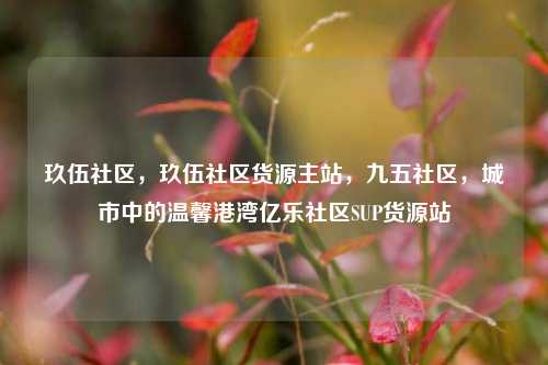 玖伍社区，玖伍社区货源主站，九五社区	，城市中的温馨港湾亿乐社区SUP货源站  第1张