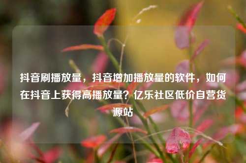 抖音刷播放量	，抖音增加播放量的软件，如何在抖音上获得高播放量？亿乐社区低价自营货源站  第1张