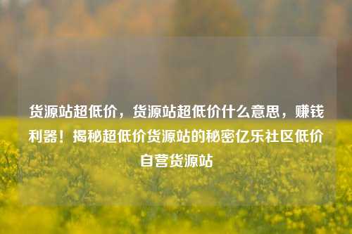 货源站超低价，货源站超低价什么意思，赚钱利器！揭秘超低价货源站的秘密亿乐社区低价自营货源站  第1张