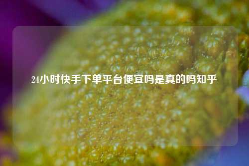 24小时快手下单平台便宜吗是真的吗知乎  第1张