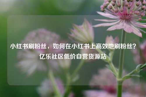 小红书刷粉丝，如何在小红书上高效地刷粉丝？亿乐社区低价自营货源站  第1张