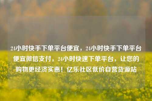 24小时快手下单平台便宜，24小时快手下单平台便宜微信支付，24小时快速下单平台	，让您的购物更经济实惠！亿乐社区低价自营货源站  第1张
