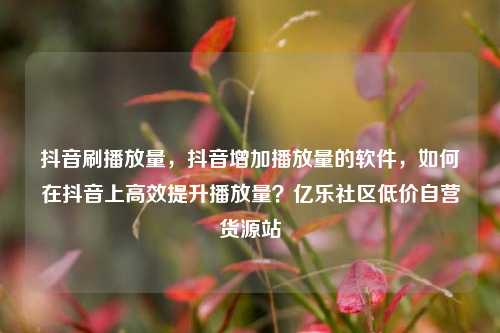 抖音刷播放量，抖音增加播放量的软件，如何在抖音上高效提升播放量？亿乐社区低价自营货源站  第1张