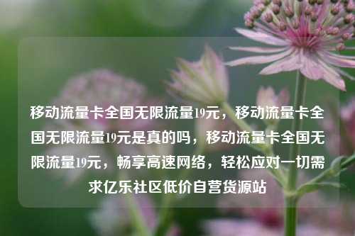 移动流量卡全国无限流量19元，移动流量卡全国无限流量19元是真的吗	，移动流量卡全国无限流量19元，畅享高速网络，轻松应对一切需求亿乐社区低价自营货源站  第1张