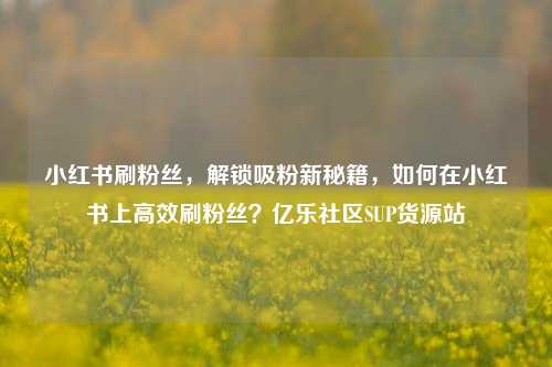 小红书刷粉丝，解锁吸粉新秘籍，如何在小红书上高效刷粉丝？亿乐社区SUP货源站  第1张