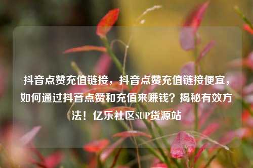 抖音点赞充值链接	，抖音点赞充值链接便宜，如何通过抖音点赞和充值来赚钱？揭秘有效方法！亿乐社区SUP货源站  第1张