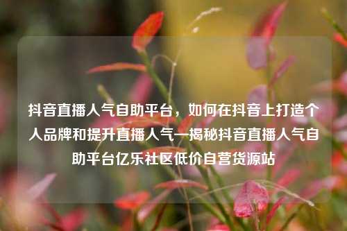 抖音直播人气自助平台，如何在抖音上打造个人品牌和提升直播人气—揭秘抖音直播人气自助平台亿乐社区低价自营货源站  第1张