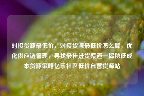 对接货源最低价	，对接货源最低价怎么算，优化供应链管理，寻找最佳进货渠道—揭秘低成本货源策略亿乐社区低价自营货源站  第1张