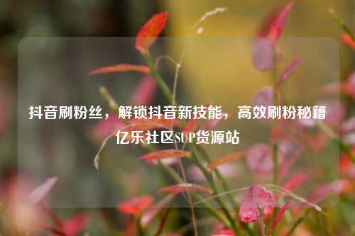 抖音刷粉丝	，解锁抖音新技能，高效刷粉秘籍亿乐社区SUP货源站  第1张
