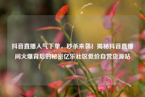 抖音直播人气下单	，秒杀来袭！揭秘抖音直播间火爆背后的秘密亿乐社区低价自营货源站  第1张