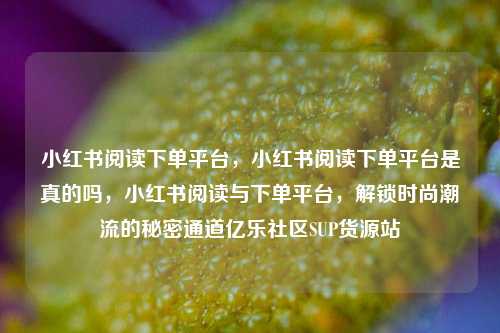 小红书阅读下单平台，小红书阅读下单平台是真的吗，小红书阅读与下单平台	，解锁时尚潮流的秘密通道亿乐社区SUP货源站  第1张
