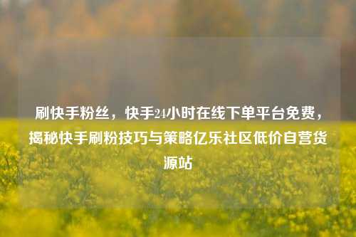 刷快手粉丝，快手24小时在线下单平台免费	，揭秘快手刷粉技巧与策略亿乐社区低价自营货源站  第1张