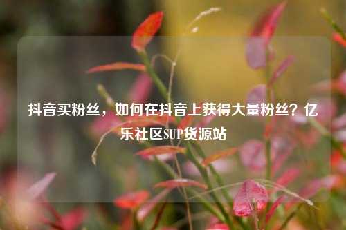 抖音买粉丝	，如何在抖音上获得大量粉丝？亿乐社区SUP货源站  第1张