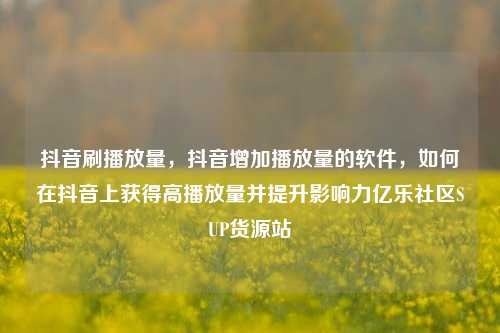 抖音刷播放量，抖音增加播放量的软件，如何在抖音上获得高播放量并提升影响力亿乐社区SUP货源站  第1张