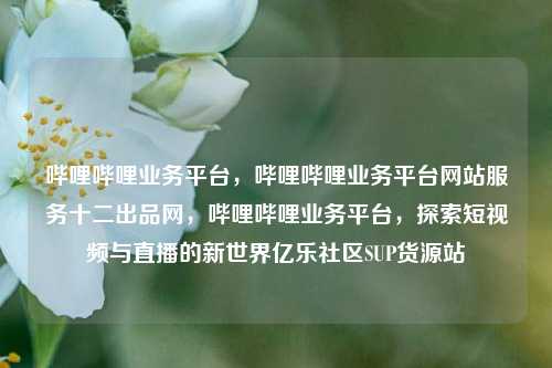 哔哩哔哩业务平台，哔哩哔哩业务平台网站服务十二出品网	，哔哩哔哩业务平台，探索短视频与直播的新世界亿乐社区SUP货源站  第1张
