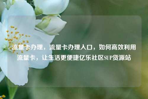 流量卡办理，流量卡办理入口，如何高效利用流量卡	，让生活更便捷亿乐社区SUP货源站  第1张