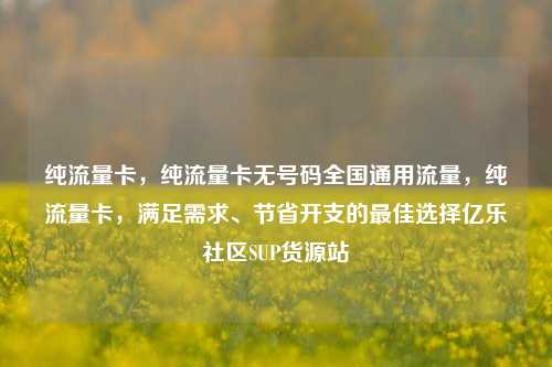 纯流量卡，纯流量卡无号码全国通用流量，纯流量卡	，满足需求、节省开支的最佳选择亿乐社区SUP货源站  第1张