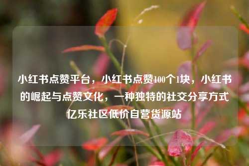 小红书点赞平台，小红书点赞100个1块	，小红书的崛起与点赞文化，一种独特的社交分享方式亿乐社区低价自营货源站  第1张