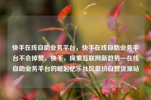 快手在线自助业务平台，快手在线自助业务平台不会掉赞	，快手，探索互联网新趋势—在线自助业务平台的崛起亿乐社区低价自营货源站  第1张