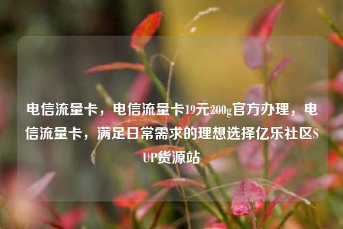 电信流量卡，电信流量卡19元200g官方办理	，电信流量卡，满足日常需求的理想选择亿乐社区SUP货源站  第1张