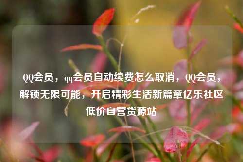 QQ会员	，qq会员自动续费怎么取消，QQ会员，解锁无限可能	，开启精彩生活新篇章亿乐社区低价自营货源站  第1张