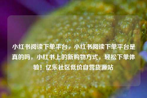 小红书阅读下单平台，小红书阅读下单平台是真的吗，小红书上的新购物方式	，轻松下单体验！亿乐社区低价自营货源站  第1张
