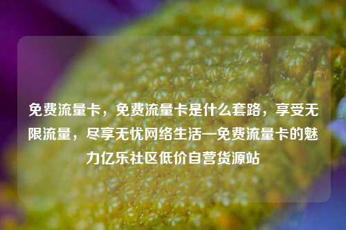免费流量卡	，免费流量卡是什么套路，享受无限流量，尽享无忧网络生活—免费流量卡的魅力亿乐社区低价自营货源站  第1张