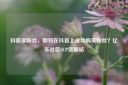 抖音买粉丝，如何在抖音上成功购买粉丝？亿乐社区SUP货源站  第1张