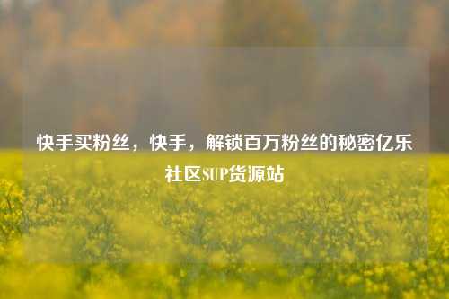 快手买粉丝，快手，解锁百万粉丝的秘密亿乐社区SUP货源站  第1张