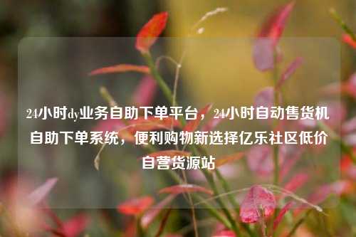 24小时dy业务自助下单平台，24小时自动售货机自助下单系统	，便利购物新选择亿乐社区低价自营货源站  第1张