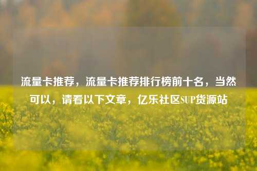 流量卡推荐，流量卡推荐排行榜前十名	，当然可以，请看以下文章，亿乐社区SUP货源站  第1张