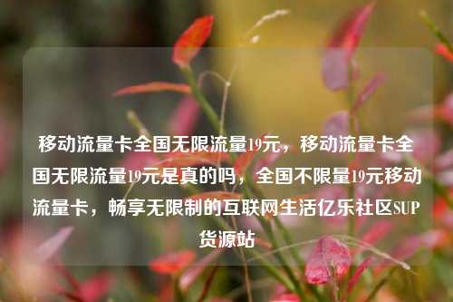 移动流量卡全国无限流量19元，移动流量卡全国无限流量19元是真的吗，全国不限量19元移动流量卡	，畅享无限制的互联网生活亿乐社区SUP货源站  第1张
