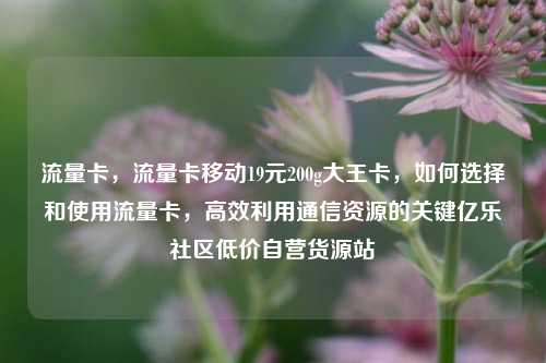 流量卡，流量卡移动19元200g大王卡	，如何选择和使用流量卡，高效利用通信资源的关键亿乐社区低价自营货源站  第1张