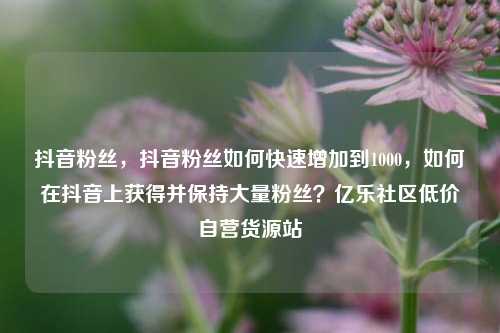 抖音粉丝，抖音粉丝如何快速增加到1000	，如何在抖音上获得并保持大量粉丝？亿乐社区低价自营货源站  第1张