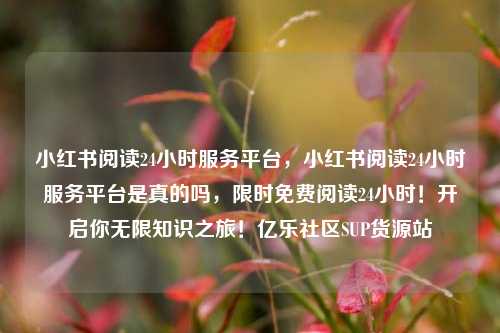 小红书阅读24小时服务平台	，小红书阅读24小时服务平台是真的吗，限时免费阅读24小时！开启你无限知识之旅！亿乐社区SUP货源站  第1张