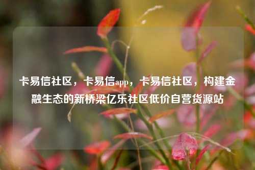 卡易信社区	，卡易信app，卡易信社区，构建金融生态的新桥梁亿乐社区低价自营货源站  第1张