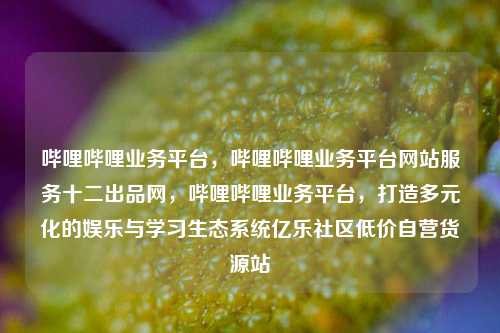 哔哩哔哩业务平台，哔哩哔哩业务平台网站服务十二出品网，哔哩哔哩业务平台	，打造多元化的娱乐与学习生态系统亿乐社区低价自营货源站  第1张
