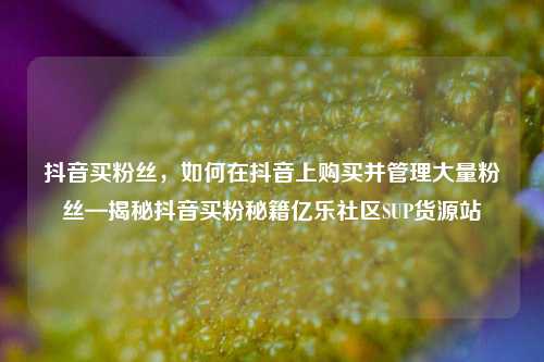 抖音买粉丝，如何在抖音上购买并管理大量粉丝—揭秘抖音买粉秘籍亿乐社区SUP货源站  第1张