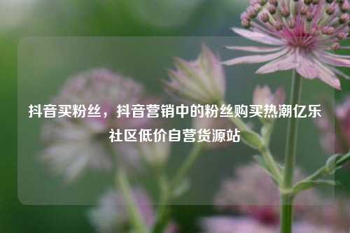 抖音买粉丝，抖音营销中的粉丝购买热潮亿乐社区低价自营货源站  第1张