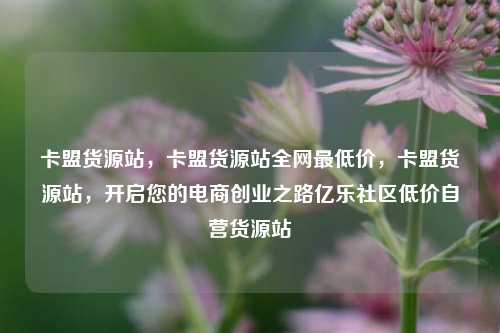 卡盟货源站	，卡盟货源站全网最低价，卡盟货源站，开启您的电商创业之路亿乐社区低价自营货源站  第1张