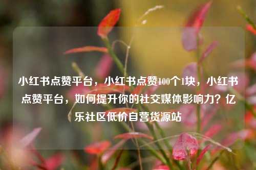 小红书点赞平台，小红书点赞100个1块	，小红书点赞平台，如何提升你的社交媒体影响力？亿乐社区低价自营货源站  第1张